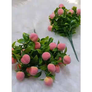 Kokina Çiçeği (Şeftali)