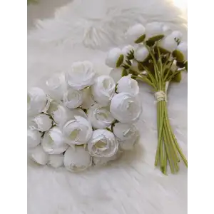 Çoklu Kafa Şakayık