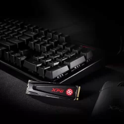 XPG 256 GB GAMMIX S5 M.2 AGAMMIXS5-256GT-C PCI-Express 3.0 SSD