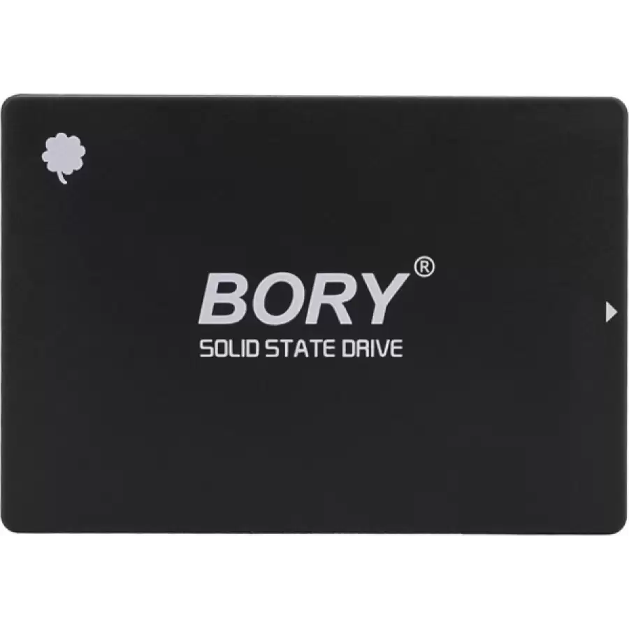 BORY 120 GB SATA SSD01-C120 550/500 MBS SSD