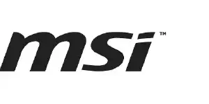 MSI