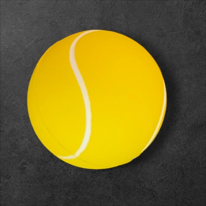 Evcil Hayvan Oyun Topu Small