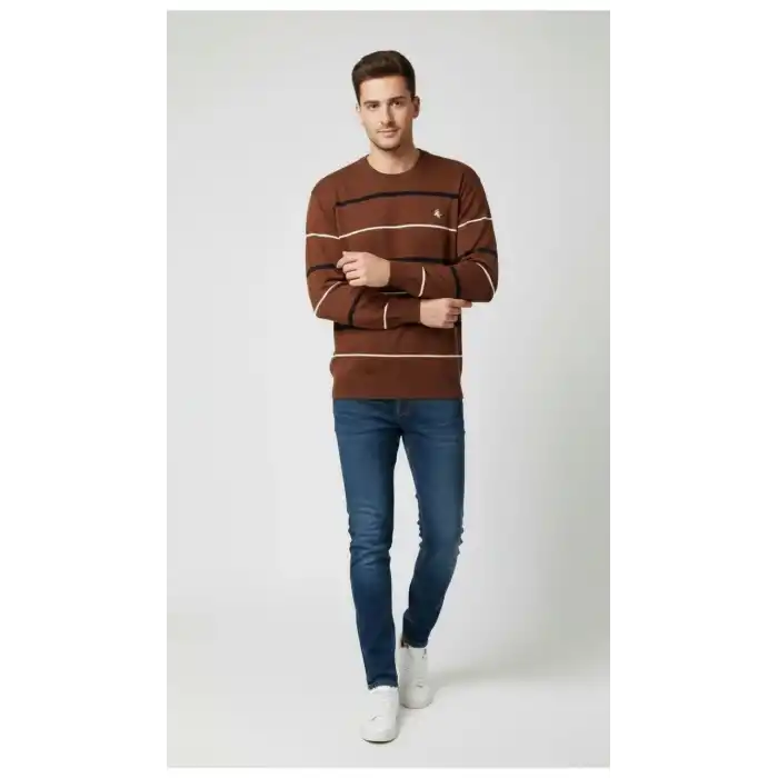 Erkek Bisiklet Yaka Cizgili Triko Kazak yumuşak dokulu Pamuklu ince Dokuma, uzun kollu Rahat Regular kalıp - Kahverengi