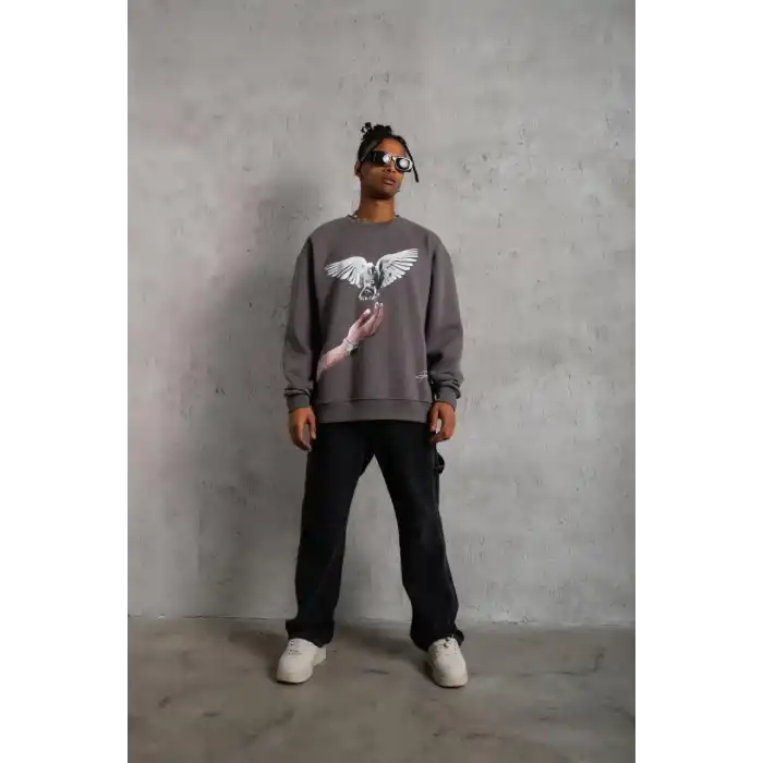 Erkek Güvercin Baskılı Sweatshirt - Gri