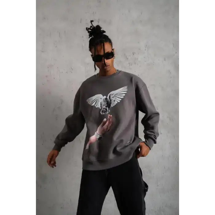 Erkek Güvercin Baskılı Sweatshirt - Gri