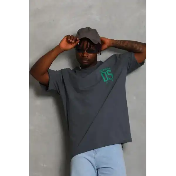 Erkek Baskılı T-Shirt Kısa Kol Bisiklet Yaka Regular Fit Rahat Tişört - Füme