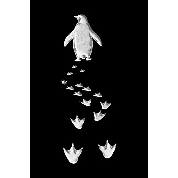 Erkek Nihilist Penguen Baskılı 3 İplik Pamuklu Kapüşonlu Sweatshirt Hoodie Siyah