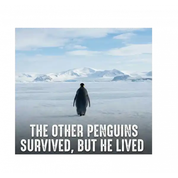 Kadın 3 İplik Pamuklu Kapüşonlu Hoodie Sweatshirt Survivor Penguen Baskılı - Siyah