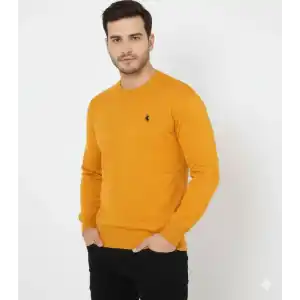 Erkek Bisiklet Yaka Nakış işlemeli Triko Kazak yumuşak dokulu Pamuklu ince Dokuma, uzun kollu Rahat Regular kalıp - Turuncu