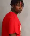 Erkek Baskılı T-Shirt Kısa Kol Bisiklet Yaka Rahat Kalıp Tişört - Kırmızı