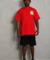 Erkek Baskılı T-Shirt Kısa Kol Bisiklet Yaka Regular Fit Tişört - Kırmızı