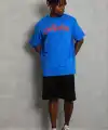 Erkek Baskılı T-Shirt Kısa Kol Bisiklet Yaka Regular Fit Tişört - Saks Mavisi