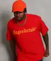 Erkek Baskılı Tişört Kısa Kol Bisiklet Yaka Oversize T-Shirt - Kırmızı