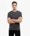 Erkek Bisiklet Yaka Slim Fit dar kesim Likralı Tişört - Füme