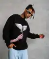 Erkek Güvercin Baskılı 3 iplik Bisiklet Yaka ipamuklu Sweatshirt - Siyah