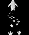 Erkek Nihilist Penguen Baskılı 3 İplik Pamuklu Kapüşonlu Sweatshirt Hoodie Siyah