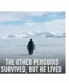 Erkek Survivor Penguin Baskılı 3 İplik Pamuklu Kapüşonlu Sweatshirt Hoodie Beyaz