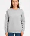 Kadın 3 İplik Pamuklu Düz Bisiklet Yaka SweatShirt - Gri