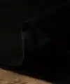 Kadın Tişört Ayı Baskılı Bisiklet Yaka Yazlık Kısa Kol T-shirt - Siyah