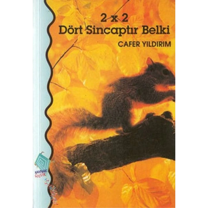 2 x 2 Dört Sincaptır Belki