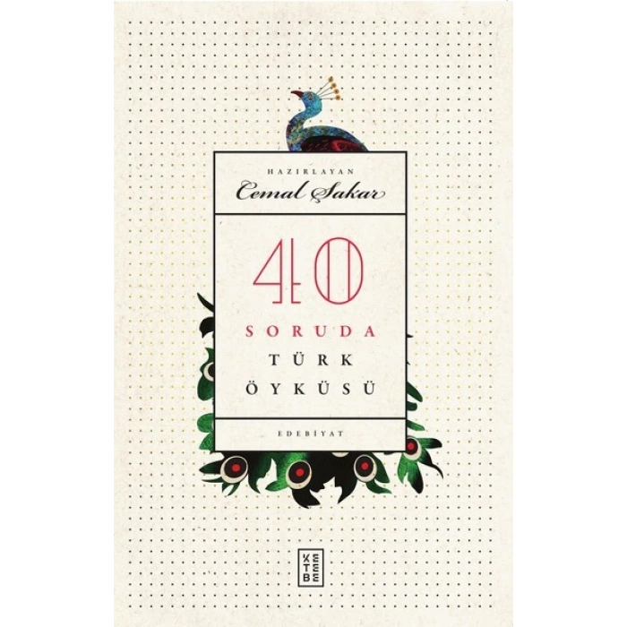 40 Soruda Türk Öyküsü (Ciltli)