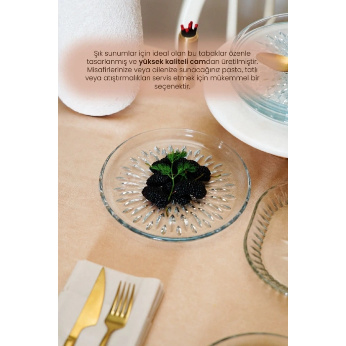 Cam Pasta Tabağı Seti 6 Adet Desenli 19 cm