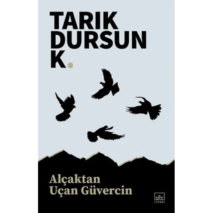 Alçaktan Uçan Güvercin