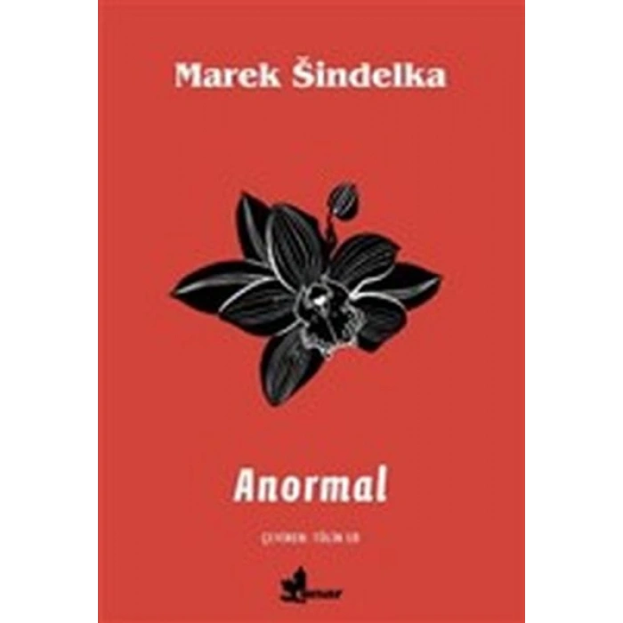 Anormal