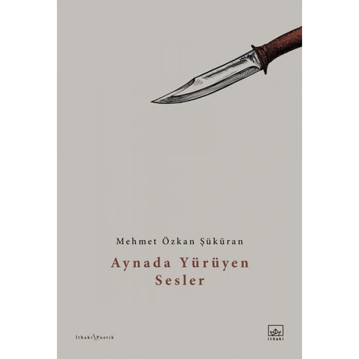 Aynada Yürüyen Sesler