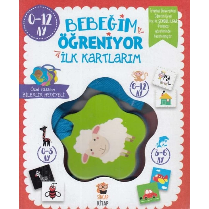 Bebeğim Öğreniyor - İlk Kartlarım (0 - 12 Ay)