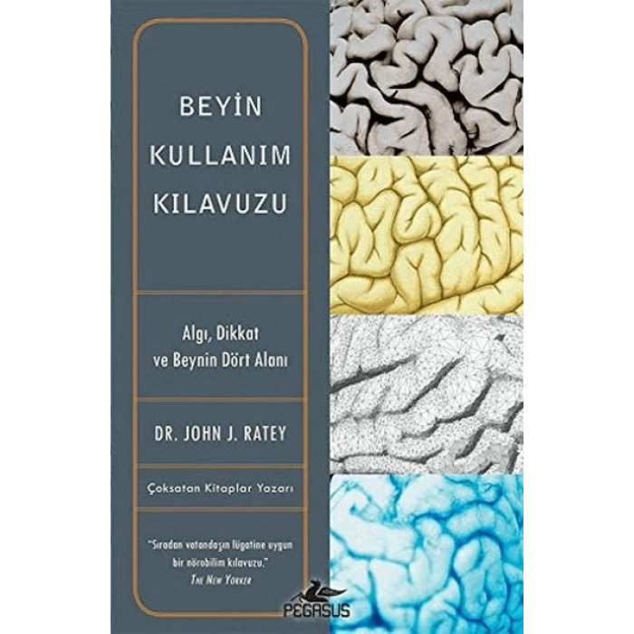 Beyin Kullanım Kılavuzu