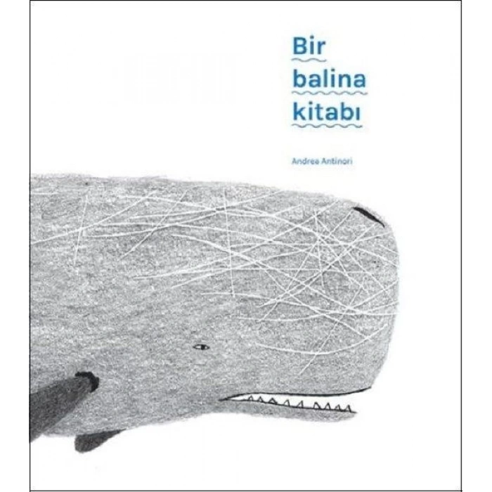 Bir Balina Kitabı