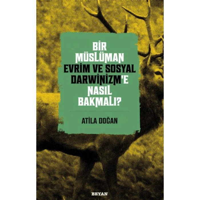 Bir Müslüman Evrim ve Sosyal Darwinizm’e Nasıl Bakmalı?