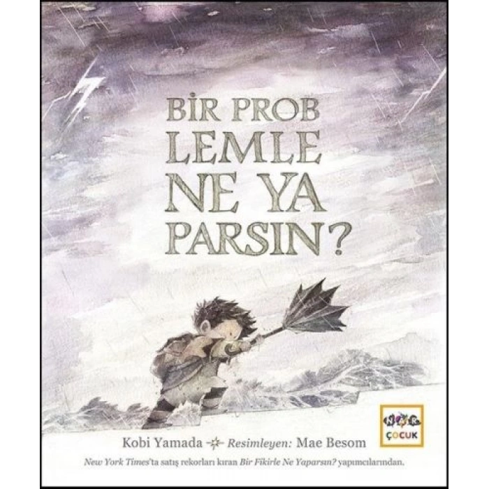 Bir Problemle Ne Yaparsın? (Ciltli)