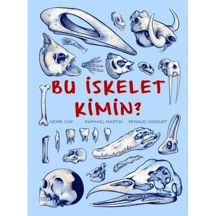 Bu İskelet Kimin?