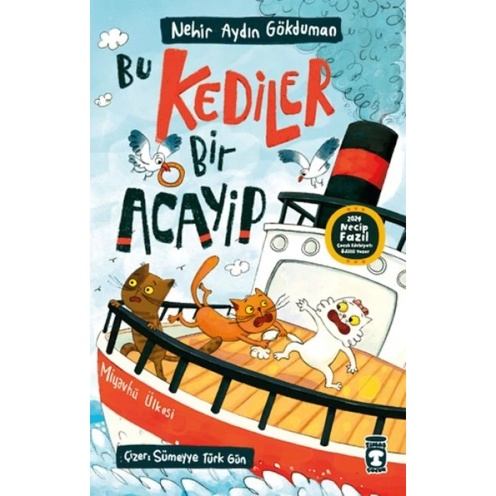 Bu Kediler Bir Acayip