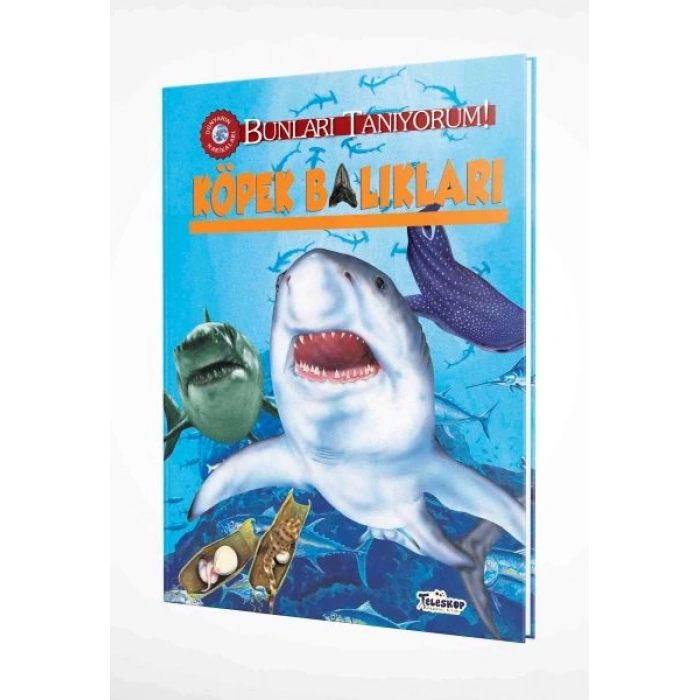 Bunları Tanıyorum! - Köpek Balıkları