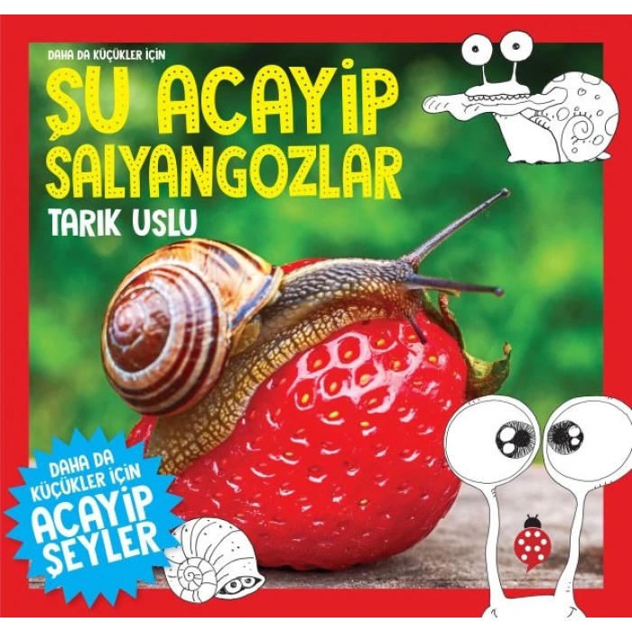Daha Küçükler İçin Şu Acayip Salyangozlar
