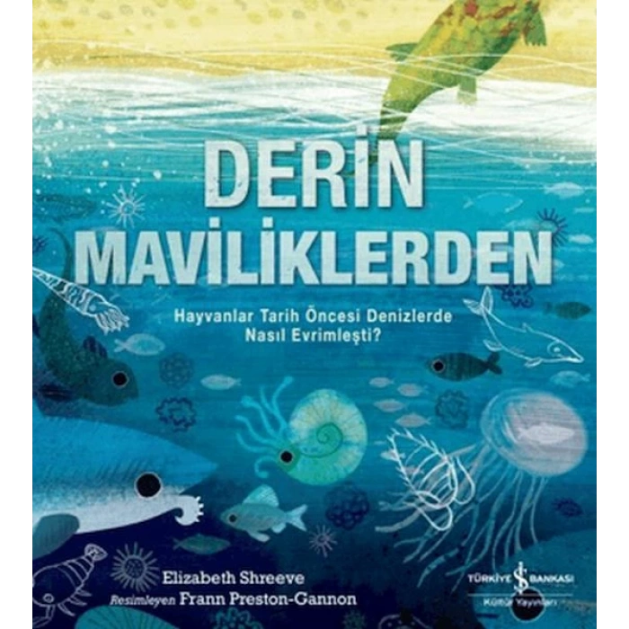 Derin Maviliklerden