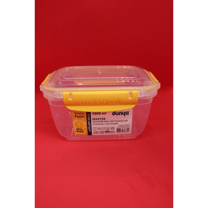 Dünya Dikdörtgen Saklama Kabı