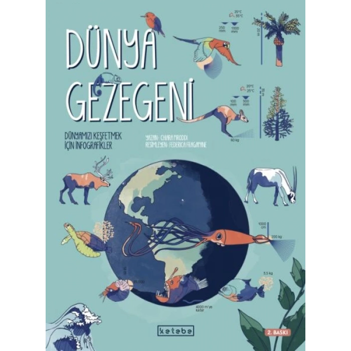 Dünya Gezegeni - Dünyamızı Keşfetmek İçin İnfografikler