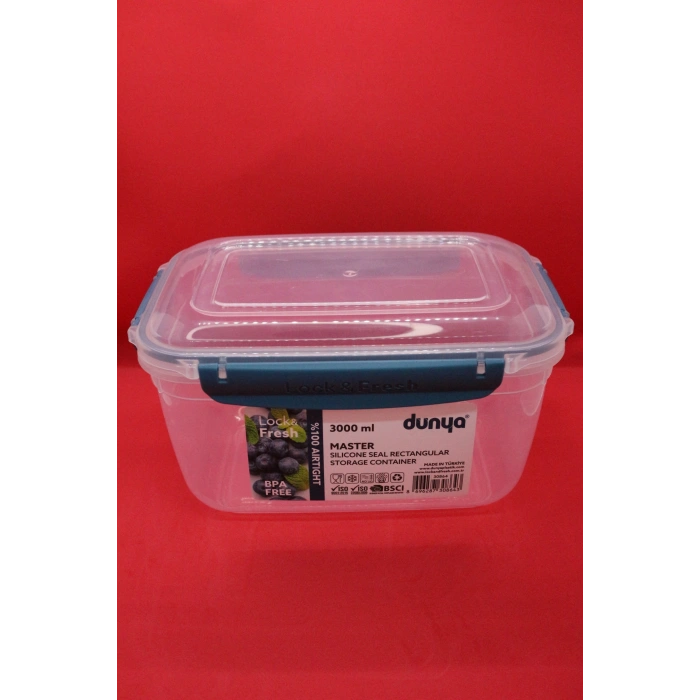 Dünya Pls Master Dikdörtgen Saklama Kabı