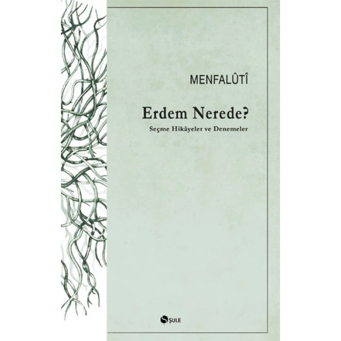 Erdem Nerede? Seçme Hikayeler ve Denemeler