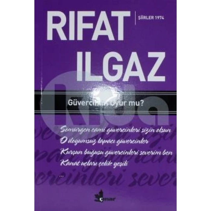 Güvercinim Uyur mu ?