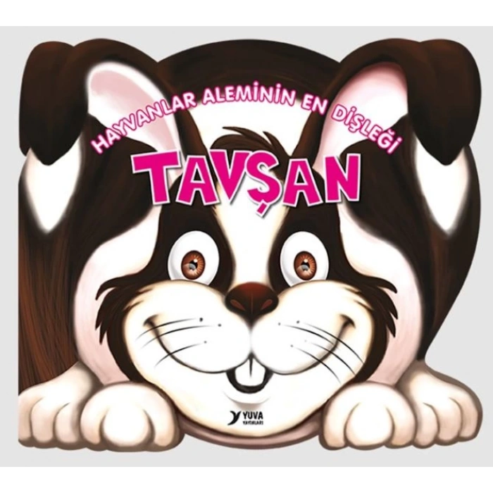Hayvanlar Aleminin En Dişleği : Tavşan