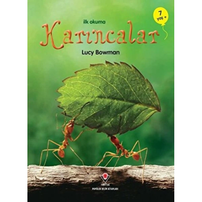 İlk Okuma - Karıncalar