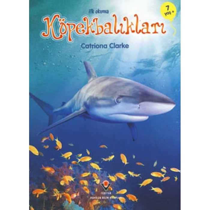İlk Okuma - Köpekbalıkları