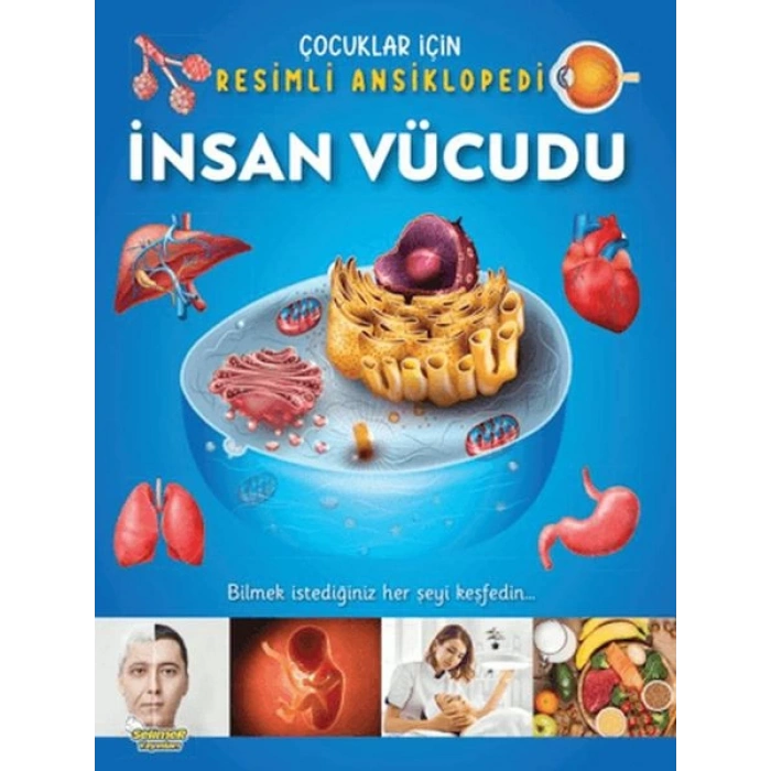 İnsan Vücudu - Çocuklar İçin Resimli Ansiklopedi