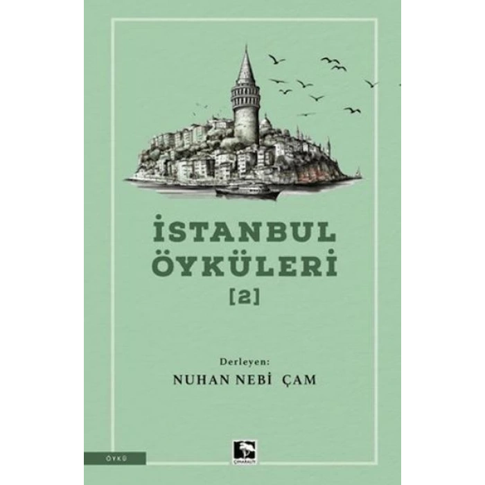 İstanbul Öyküleri 2