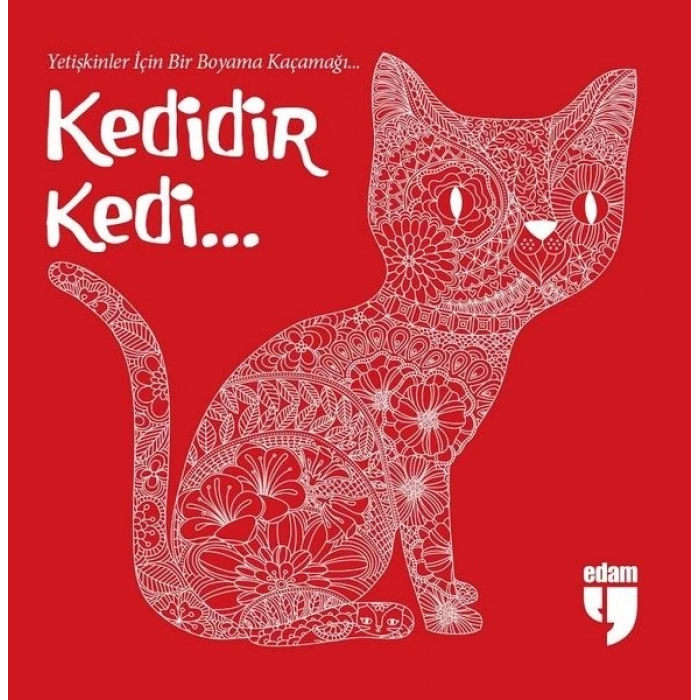 Kedidir Kedi...